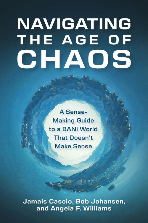 Navigating the Age of Chaos Book Cover